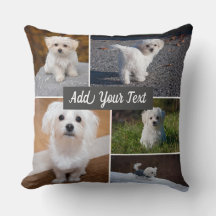 フォトコラージュPetフォトグレパーソナライズされたイ5