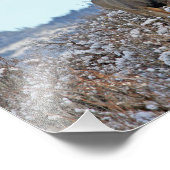 フォトショップの野生生物アート フォトプリント            (角)