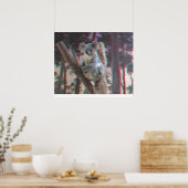 フォトジェニックなコアラが3Dでカメラのポーズ ポスター (キッチン)