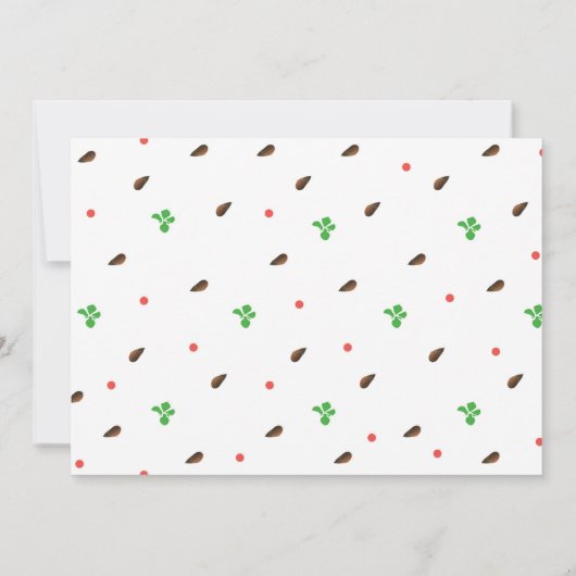 フォトスイカ誕生日の招待1歳の誕生日 招待状 (裏面)