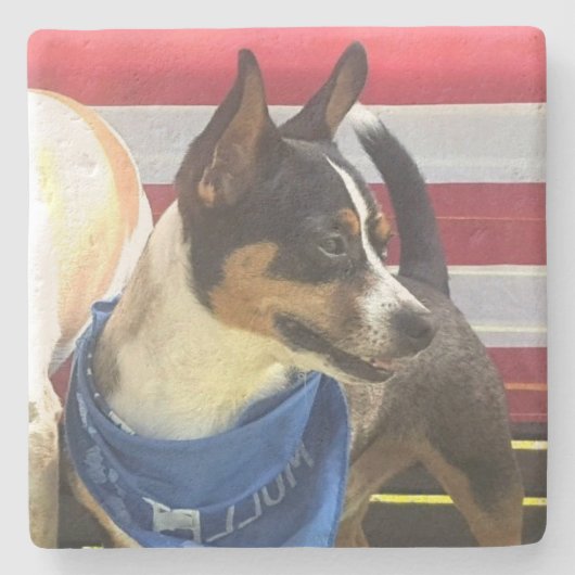 フォトスカスタムトーンコースター ストーンコースター (正面)