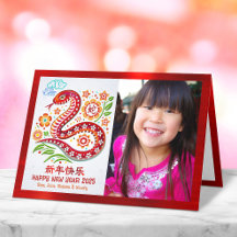 フォトスネーク2025年中国の旧正月のペーパーカット