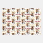 フォトスパーソナライズされたノーフレークのスクリプト名レッド金ゴールド ラッピングペーパーシート (正面)