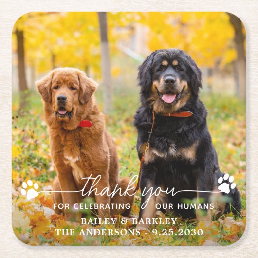 フォトスモダンクリプトありがとう犬のペット結婚ズ スクエアペーパーコースター (正面)