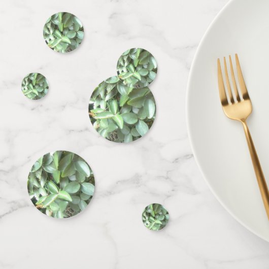 フォトテーブル紙吹雪 コンフェッティ (グループ)