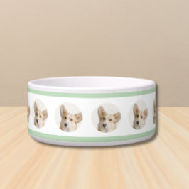 フォトドッグボウル – カスタムイメージで作られたイメージ ボウル