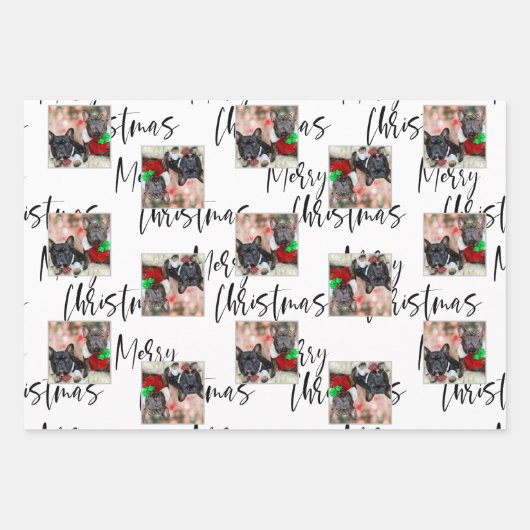 フォトドッグモダン白黒タイポグラフィクリスマス ラッピングペーパーシート (正面)