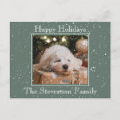 フォトハッピーホリデーズスノーオーバーレイ予算グリーン シーズンポストカード (正面)