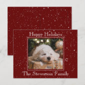 フォトハッピーホリデーズスノーオーバーレイ予算レッド シーズンポストカード (正面/裏面)