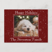 フォトハッピーホリデーズスノーオーバーレイ予算レッド シーズンポストカード (正面)