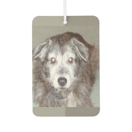 フォトハート図形の個人用設定 カーエアーフレッシュナー (正面)