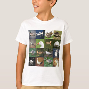 フォトパッチワーク広場 – 鳥 Tシャツ