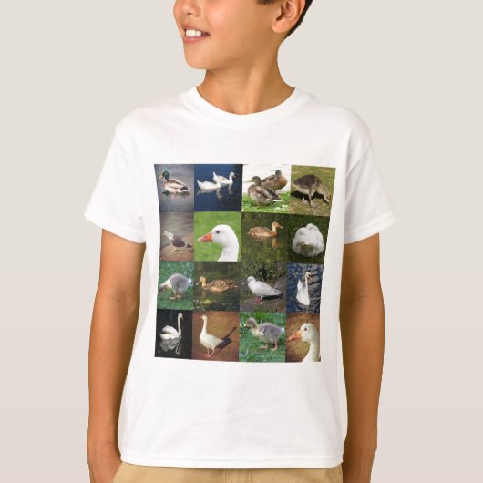 フォトパッチワーク広場 – 鳥 Tシャツ (正面)