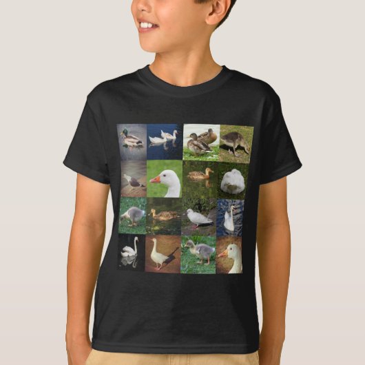 フォトパッチワーク広場 – 鳥 Tシャツ (正面)