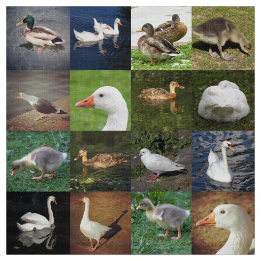 フォトパッチワーク – 鳥 ファブリック (見本)