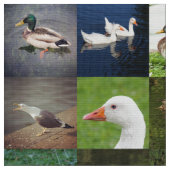 フォトパッチワーク – 鳥 ファブリック (クローズアップ)