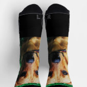 フォトパーソナライズされたカスタムスクルーソックス ソックス (上部)