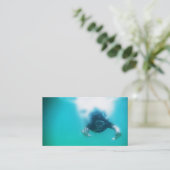 フォトパーフェクトシュノーケラー 名刺 (スタンド正面)