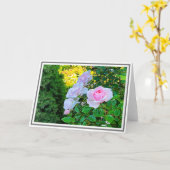 フォトピン淡い色のク登山バラ(緑の葉) カード (黄色い花)