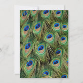 フォトピーコック卒業招待状 招待状 (裏面)