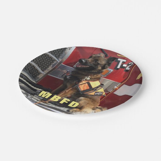 フォトファイアマンのお祝いの追加 ペーパープレート (アングル)