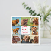 フォトファミリークリスマススペクタクル8枚 (スタンド正面)