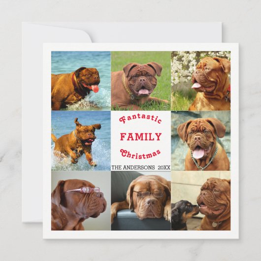 フォトファミリークリスマススペクタクル8枚 (正面)