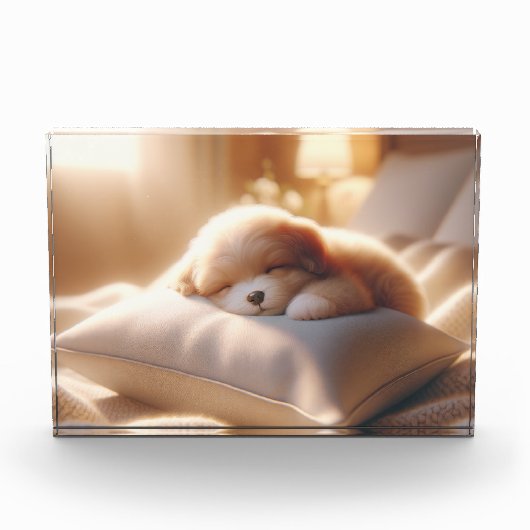 フォトブロック写真の追加 フォトブロック (正面)