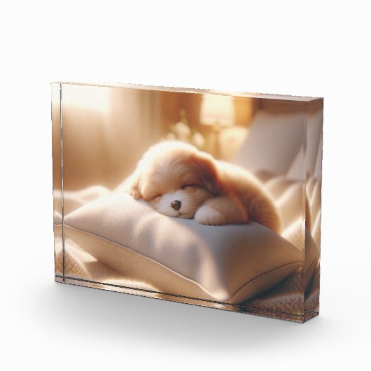 フォトブロック写真の追加 フォトブロック (右)