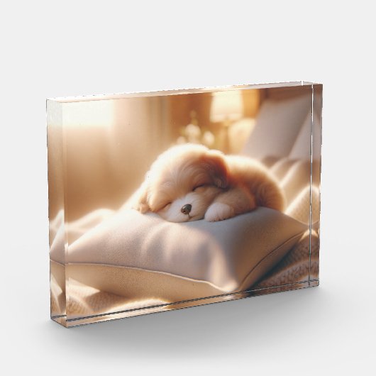 フォトブロック写真の追加 フォトブロック (左)