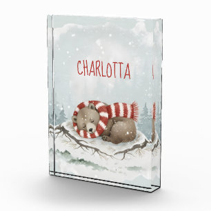  フォトブロック