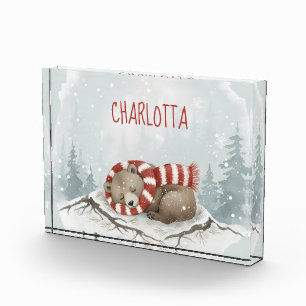  フォトブロック