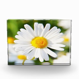 フォトブロック