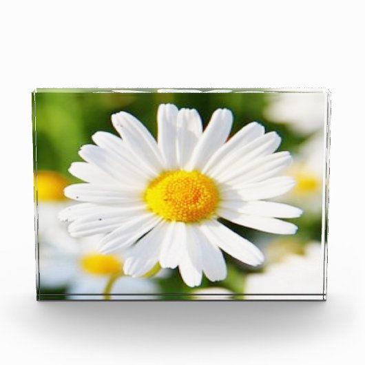 フォトブロック (正面)