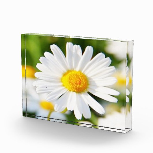 フォトブロック (右)