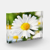 フォトブロック (左)