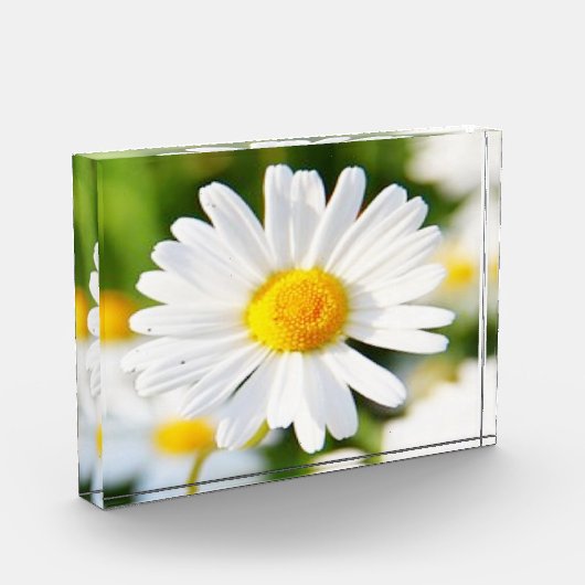 フォトブロック (左)