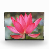 フォトブロック (正面)