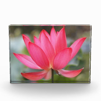 フォトブロック