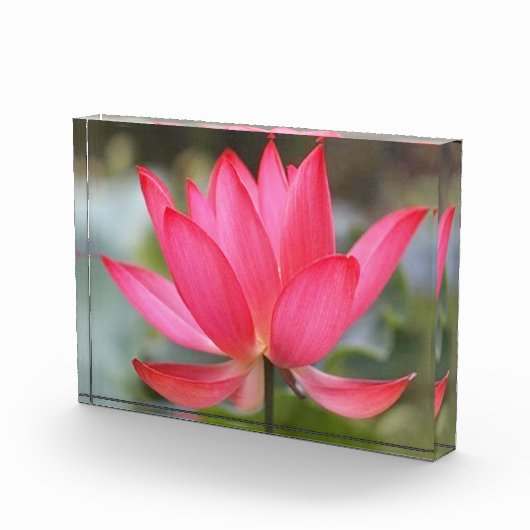 フォトブロック (右)