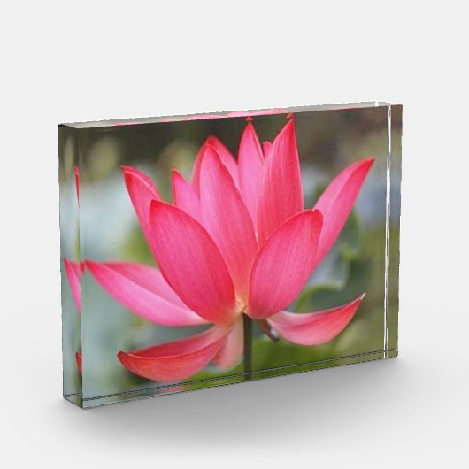 フォトブロック (左)