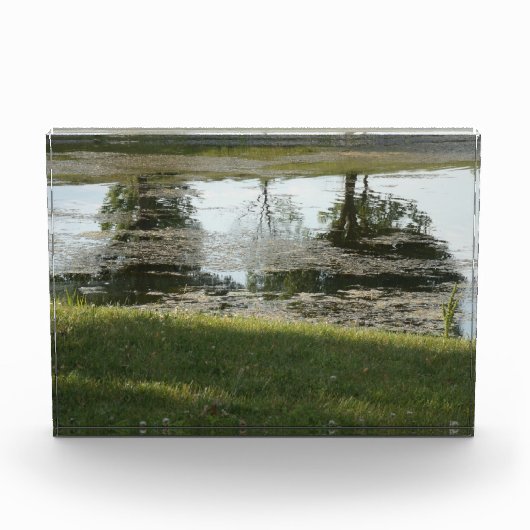 フォトブロック (正面)