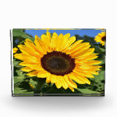 フォトブロック (正面)