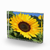 フォトブロック (右)