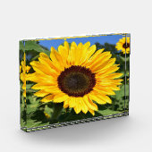 フォトブロック (左)