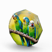 フォトブロック (右)