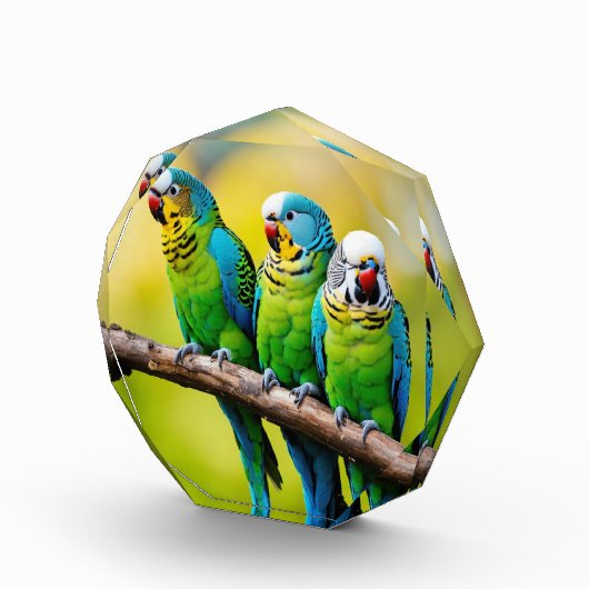 フォトブロック (右)