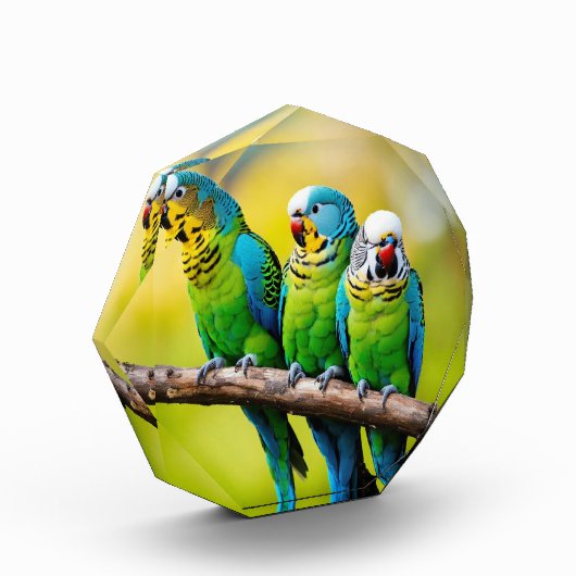 フォトブロック (左)