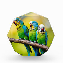 フォトブロック