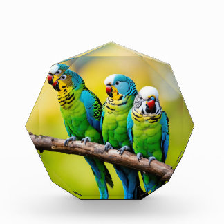 フォトブロック